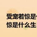 受宠若惊是什么生肖求作业帮解答?（受宠若惊是什么生肖）