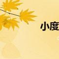  小度在家无线投屏怎么设置