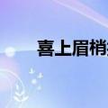 喜上眉梢打一字（喜上眉梢 打一字）