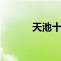 天池十二煞娃娃（天池十二煞）
