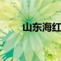 山东海红快递查询（山东海红快递）