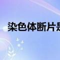 染色体断片是什么意思（断片是什么意思）