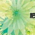 肥佬装英文（肥佬装）