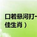 口若悬河打一最佳生肖动物（口若悬河打一最佳生肖）