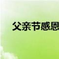 父亲节感恩话语大全（父亲节感恩话语）