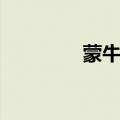 蒙牛酸奶雪糕（蒙牛酸奶）
