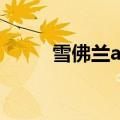 雪佛兰astro图片（雪佛兰astro）
