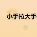 小手拉大手歌词含义（小手拉大手 歌词）
