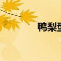 鸭梨型是什么意思（鸭梨型）