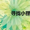 寻找小狸子任务攻略（寻找小狸子）