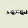 人是不是动物辩论观点（人是不是动物）