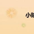 小贼 小说（贼吧小说网）