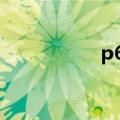 p6p资源网（p6论坛）