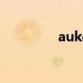 aukg099bt（aukg 099）