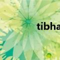 tibhar是什么牌子（tibhar）