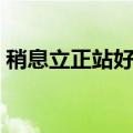 稍息立正站好歌词解析（稍息立正站好歌词）