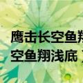 鹰击长空鱼翔浅底表达了怎样的感情（鹰击长空鱼翔浅底）