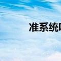 准系统吧轩b的店铺（准系统吧）
