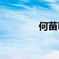 何苗hera结婚（何苗hera）