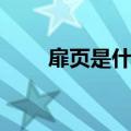 扉页是什么意思读音（扉页是什么）