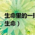 生命里的一抹阳光（每一缕阳光都该照耀到新生命）