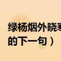 绿杨烟外晓寒轻的下一句是（绿杨烟外晓寒轻的下一句）