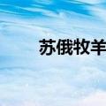 苏俄牧羊犬是边牧吗（苏俄牧羊犬）