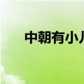 中朝有小儿文言文翻译（中朝有小儿）