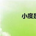  小度是否能进行下载腾讯视频
