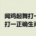 闻鸡起舞打一正确生肖是什么动物（闻鸡起舞打一正确生肖）