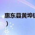 惠东县黄埠镇客运站汽车查询（惠东县黄埠镇）