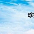 珍妮特索萨珍妮特索萨