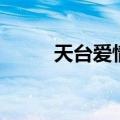 天台爱情百科（天台爱情好看吗）