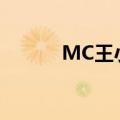 MC王小国钓鱼岛（mc王小国）