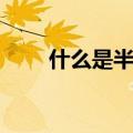 什么是半宝石珊瑚（什么是半宝石）