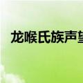 龙喉氏族声望刷什么副本（龙喉氏族声望）