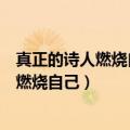 真正的诗人燃烧自己照亮别人的诗句谁写的（真正的诗人是燃烧自己）