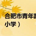 合肥市青年路小学青年路校区（合肥市青年路小学）