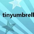 tinyumbrella教程（tinyumbrella打不开）