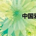 中国爱国歌手（中国爱歌者）
