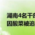 湖南4名干部因酸菜被追责学（湖南4名干部因酸菜被追责）