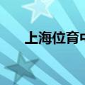 上海位育中学怎么样（上海位育中学）