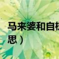 马来婆和自梳女是什么意思（自梳女是什么意思）