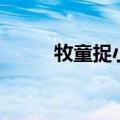 牧童捉小狼的方法（牧童捉小狼）