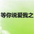 等你说爱我之云殇 小说（等你说爱我之云殇）
