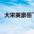 大宋英豪岳飞传修改器（岳飞全传修改器）