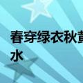 春穿绿衣秋黄袍头儿弯弯垂珠宝从幼到老难离水