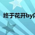 终于花开by闪灵好看吗（终于花开by闪灵）
