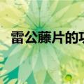 雷公藤片的功效与作用及禁忌（雷公藤片）