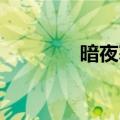 暗夜寒尊 小说（暗夜寒尊）
